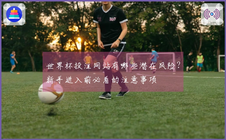 世界杯投注网站有哪些潜在风险？新手进入前必看的注意事项