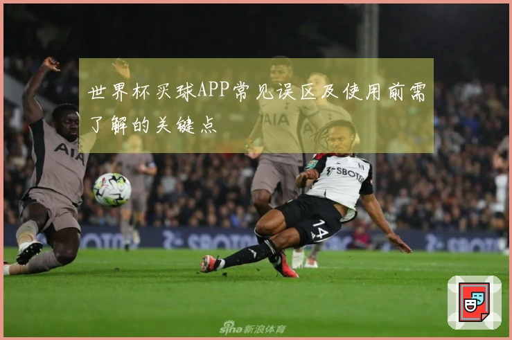 世界杯买球APP常见误区及使用前需了解的关键点