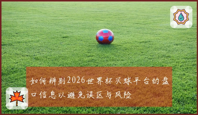 如何辨别2026世界杯买球平台的盘口信息以避免误区与风险