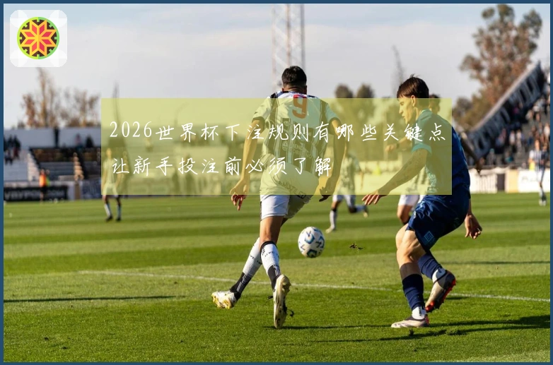 2026世界杯下注规则有哪些关键点让新手投注前必须了解