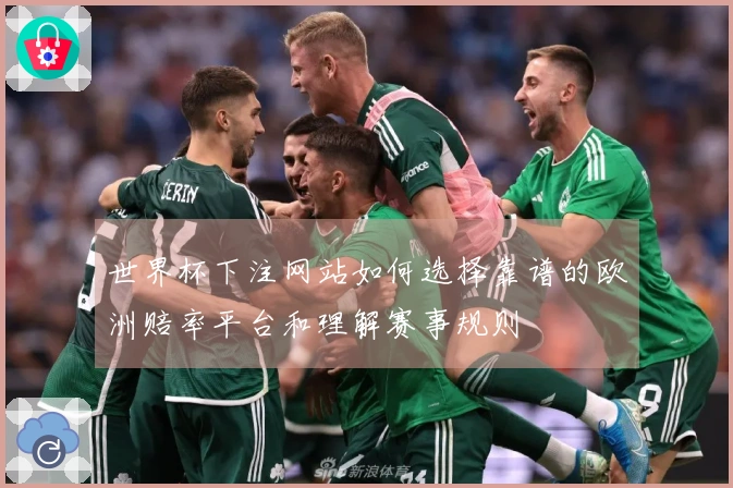 世界杯下注网站如何选择靠谱的欧洲赔率平台和理解赛事规则