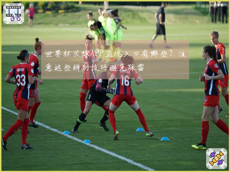 世界杯买球APP正规入口有哪些？注意这些辨别技巧避免踩雷