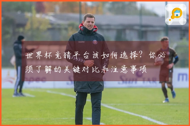 世界杯竞猜平台该如何选择？你必须了解的关键对比和注意事项