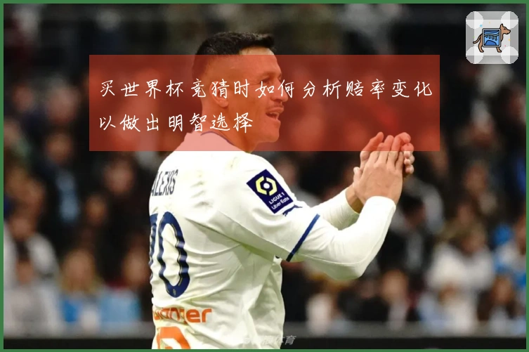 买世界杯竞猜时如何分析赔率变化以做出明智选择