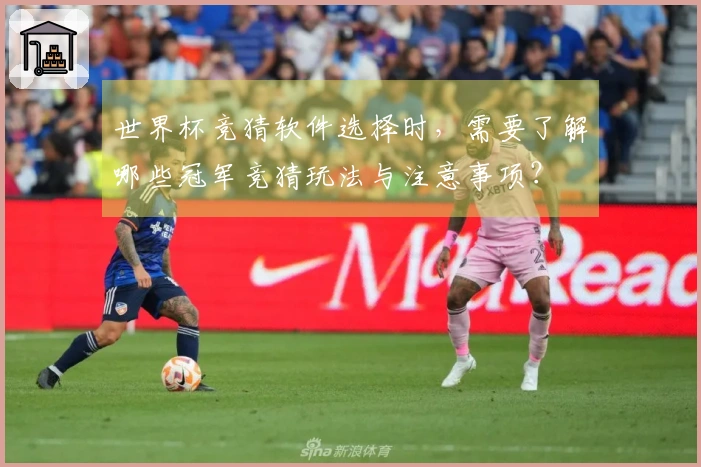 世界杯竞猜软件选择时，需要了解哪些冠军竞猜玩法与注意事项？