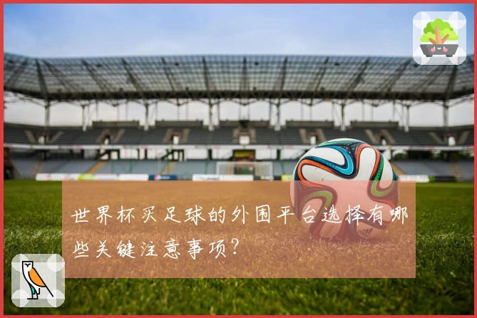 世界杯买足球的外围平台选择有哪些关键注意事项？