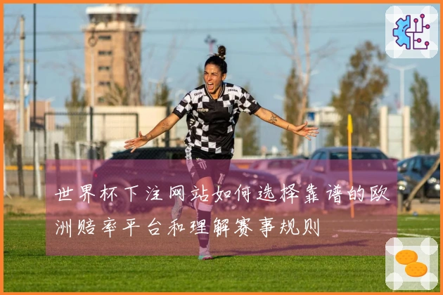 世界杯下注网站如何选择靠谱的欧洲赔率平台和理解赛事规则