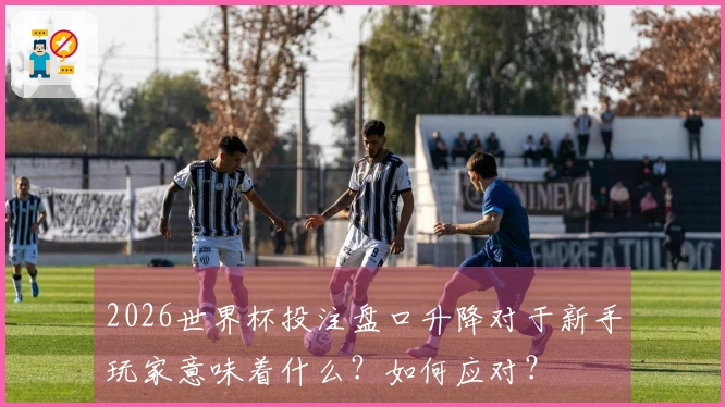 2026世界杯投注盘口升降对于新手玩家意味着什么？如何应对？