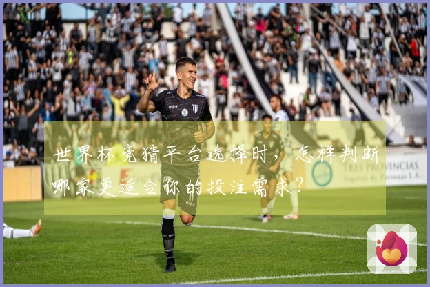 世界杯竞猜平台选择时，怎样判断哪家更适合你的投注需求？