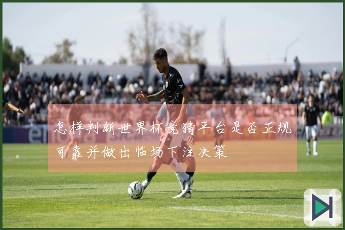 怎样判断世界杯竞猜平台是否正规可靠并做出临场下注决策