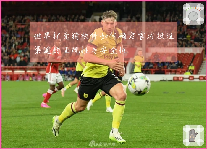 世界杯竞猜软件如何确定官方投注渠道的正规性与安全性