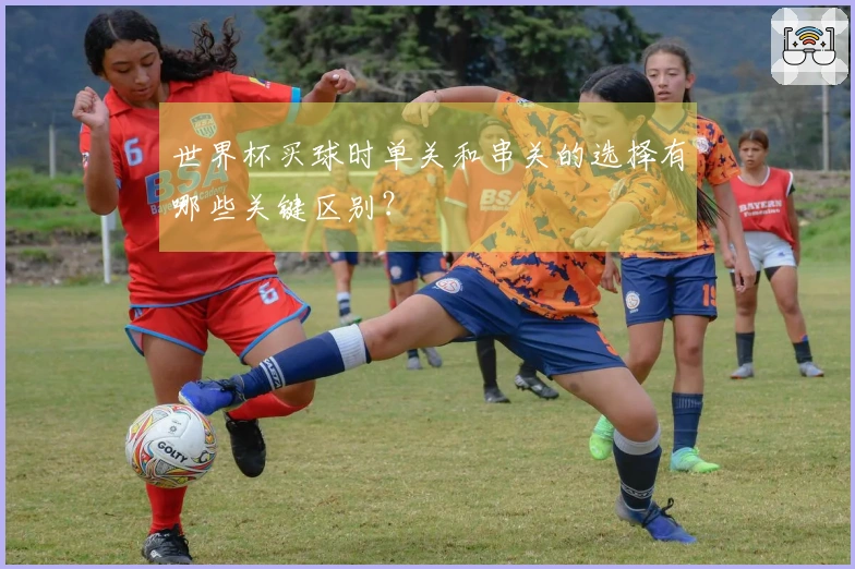 世界杯买球时单关和串关的选择有哪些关键区别？