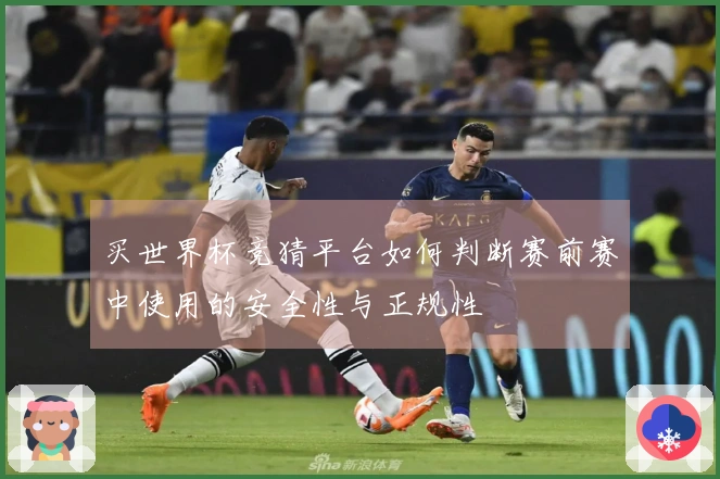 买世界杯竞猜平台如何判断赛前赛中使用的安全性与正规性