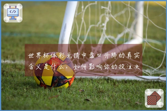 世界杯体彩竞猜中盘口升降的真实含义是什么，如何影响你的投注决策？