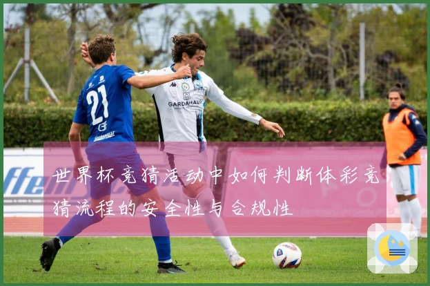 世界杯竞猜活动中如何判断体彩竞猜流程的安全性与合规性