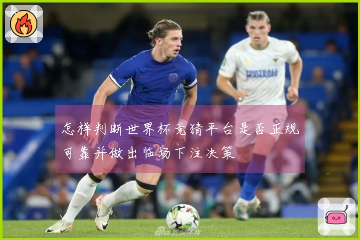 怎样判断世界杯竞猜平台是否正规可靠并做出临场下注决策