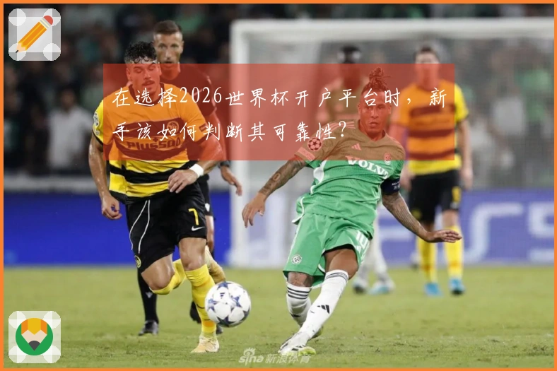 在选择2026世界杯开户平台时，新手该如何判断其可靠性？