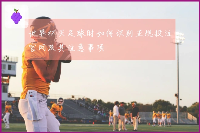 世界杯买足球时如何识别正规投注官网及其注意事项