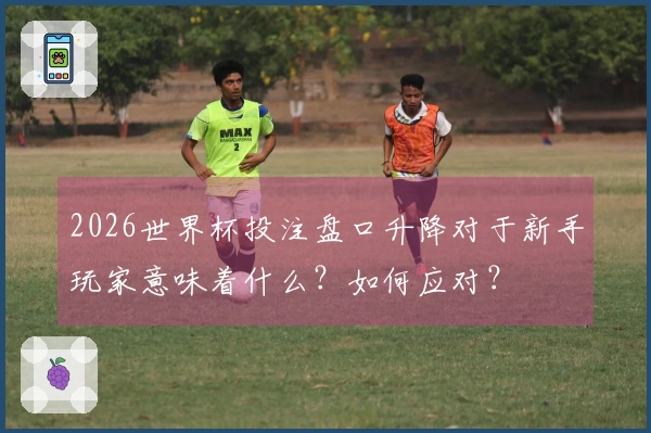2026世界杯投注盘口升降对于新手玩家意味着什么？如何应对？