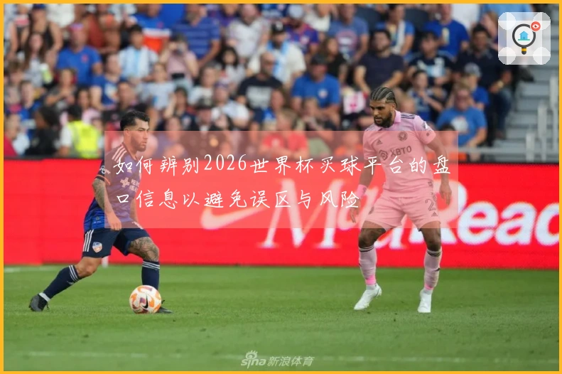 如何辨别2026世界杯买球平台的盘口信息以避免误区与风险