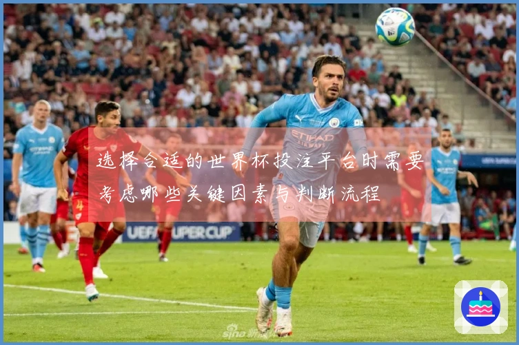 选择合适的世界杯投注平台时需要考虑哪些关键因素与判断流程