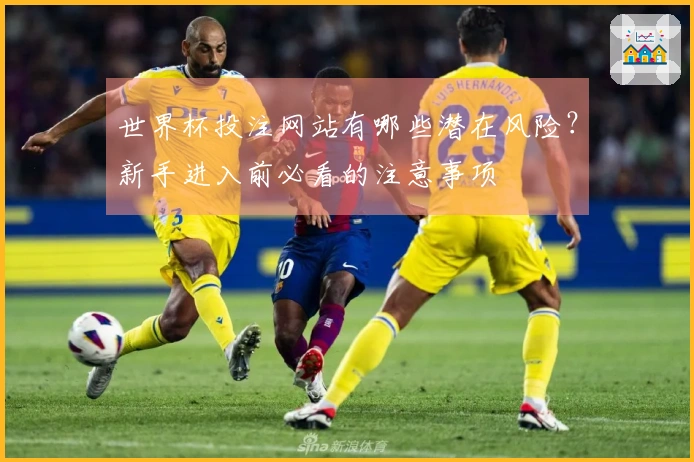 世界杯投注网站有哪些潜在风险？新手进入前必看的注意事项