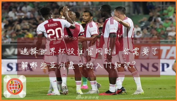 选择世界杯投注官网时，你需要了解哪些亚洲盘口的入门知识？