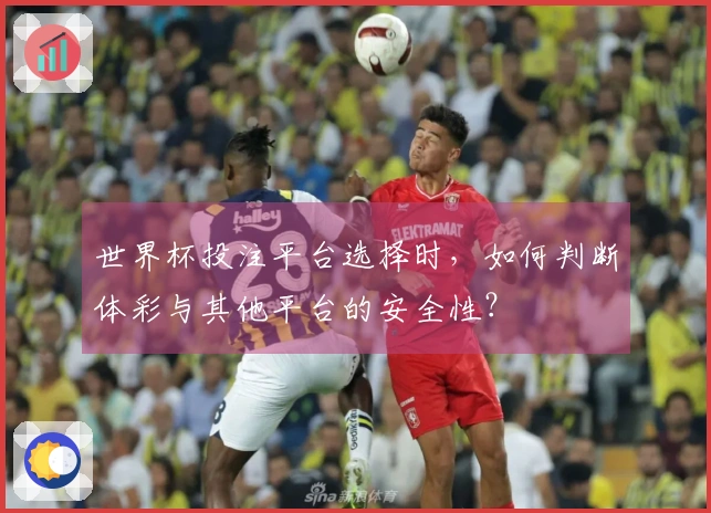 世界杯投注平台选择时，如何判断体彩与其他平台的安全性？