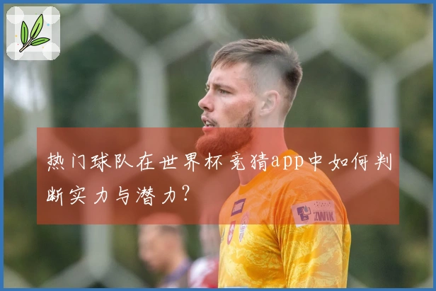 热门球队在世界杯竞猜app中如何判断实力与潜力？