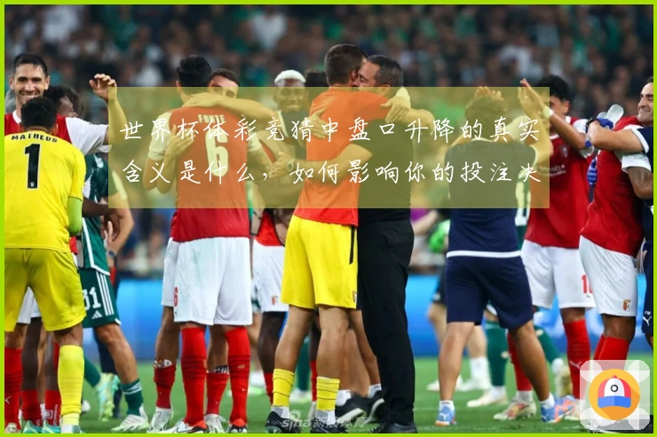 世界杯体彩竞猜中盘口升降的真实含义是什么，如何影响你的投注决策？